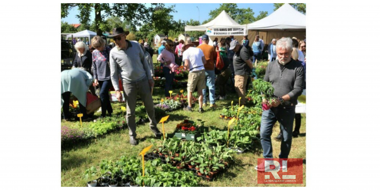 Fête des plantes : encore une belle affluence au Jardin des Traces
