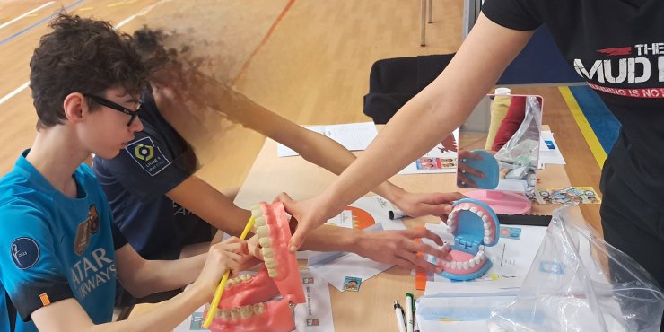 Sensibilisation au brossage de dents